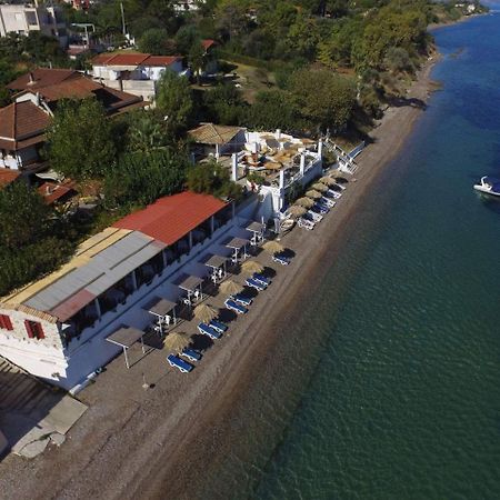 Taradella Hotel Alissos Eksteriør bilde
